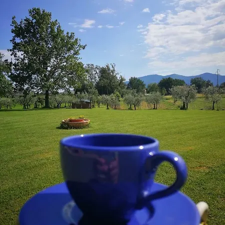 Bed & Breakfast La Fornace Del Sole Capannori