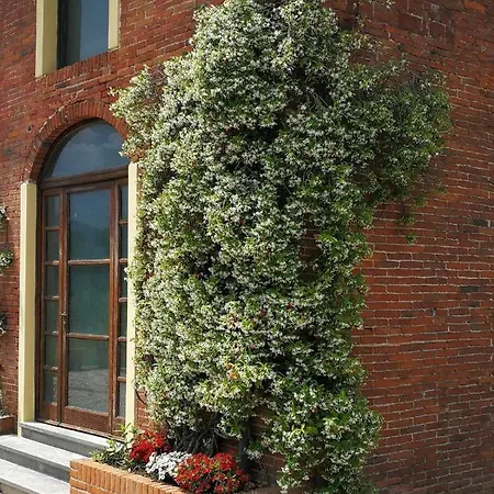 La Fornace Del Sole 3*